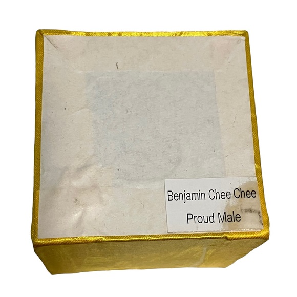 Benjamin Chee Chee Proud Male Glass Christmas Ornament - Picture 10 of 11